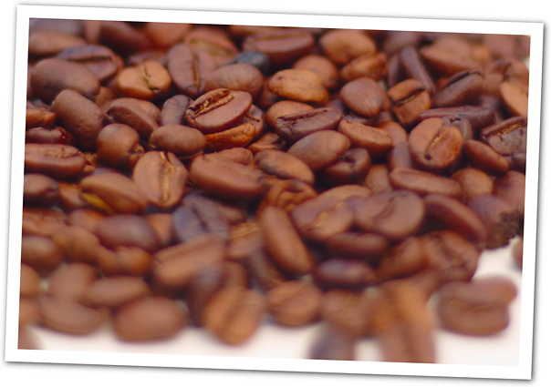 coffee_roast_comparision_0029_sm